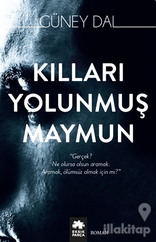 Kılları Yolunmuş Maymun