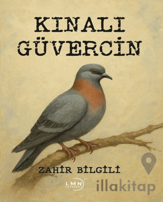 Kınalı Güvercin