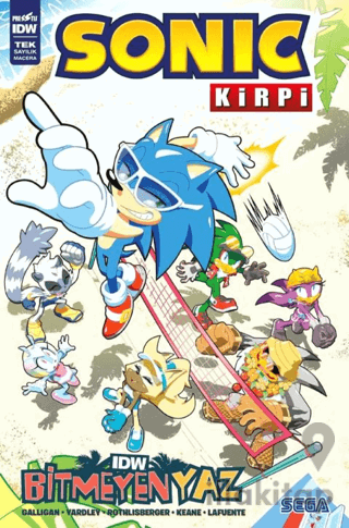 Kirpi Sonic: Bitmeyen Yaz