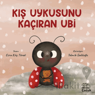 Kış Uykusunu Kaçıran Ubi