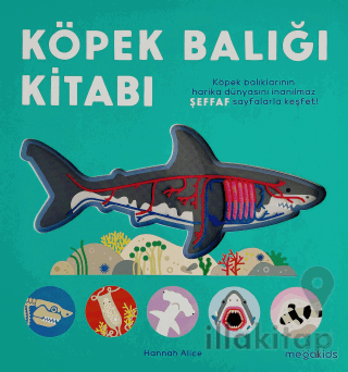 Köpek Balığı Kitabı