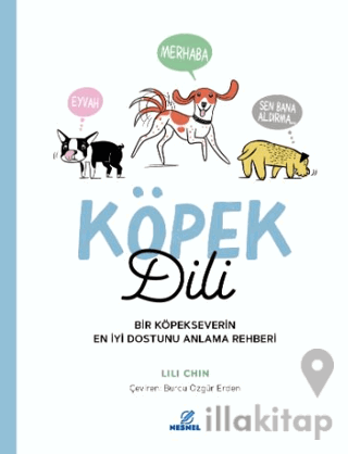 Köpek Dili - Bir Köpekseverin En İyi Dostunu Anlama Rehberi