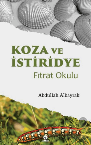 Koza ve İstiridye Fıtrat Okulu