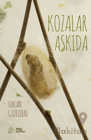 Kozalar Askıda
