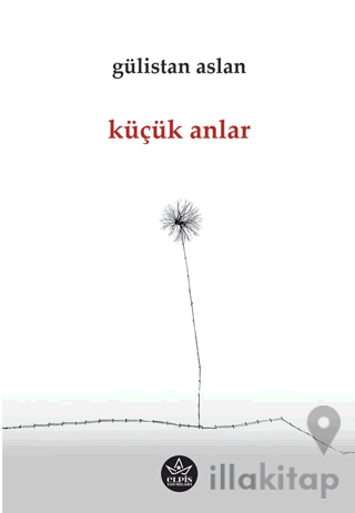 Küçük Anlar