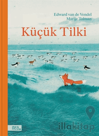 Küçük Tilki
