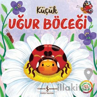 Küçük Uğur Böceği