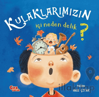 Kulaklarımızın İçi Neden Delik?