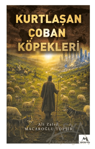 Kurtlaşan Çoban Köpekleri