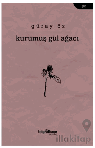 Kurumuş Gül Ağacı