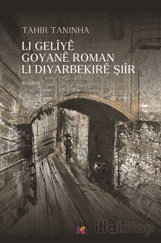 Li Geliye Goyane Roman Li Diyarbekire Şiir