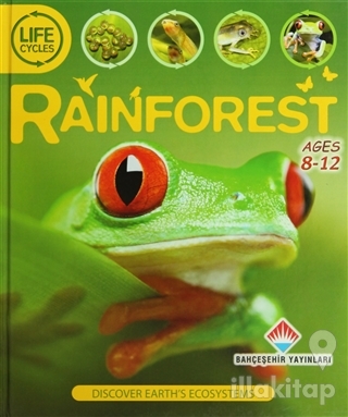 Life Cycles - Rainforest (Ciltli)