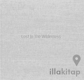 Lost In The Wilderness