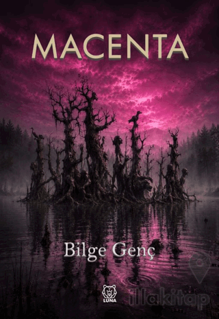 Macenta