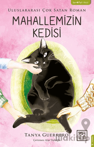 Mahallemizin Kedisi