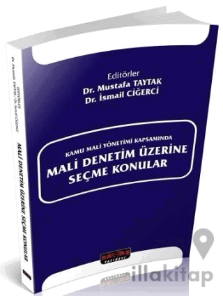 Mali Denetim Üzerine Seçme Konular