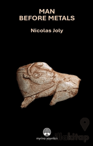 Man Before Metals