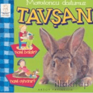 Maratoncu Dostumuz Tavşan Nasıl Bakılır? Nasıl Oynanır?