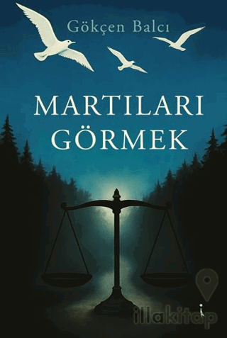 Martıları Görmek