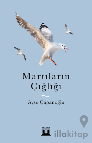 Martıların Çığlığı