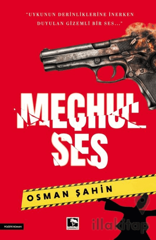 Meçhul Ses