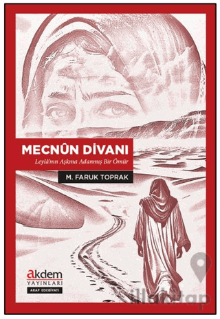 Mecnûn Divanı