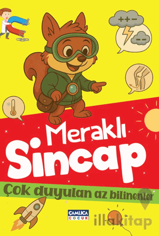 Meraklı Sincap