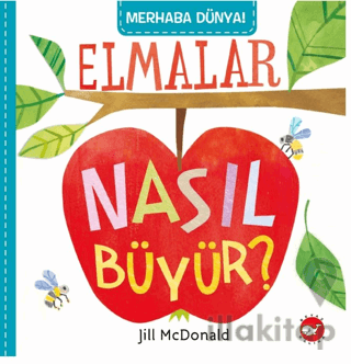 Merhaba Dünya! Elmalar Nasıl Büyür?