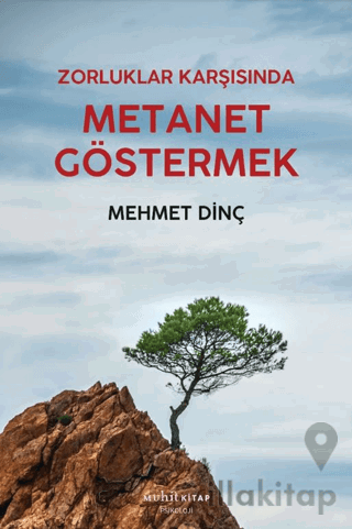 Metanet Göstermek