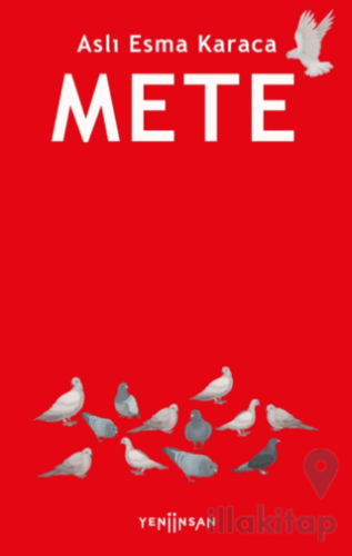 Mete
