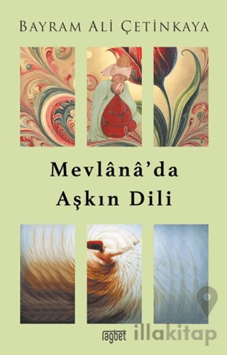 Mevlana’da Aşkın Dili