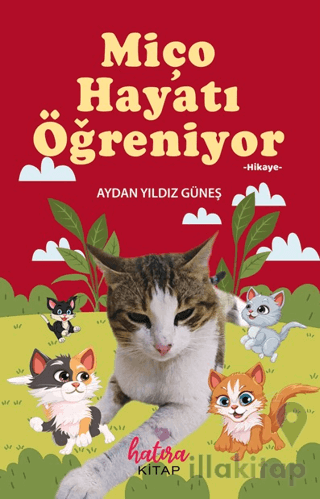 Miço Hayatı Öğreniyor