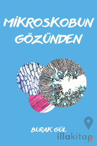 Mikroskobun Gözünden