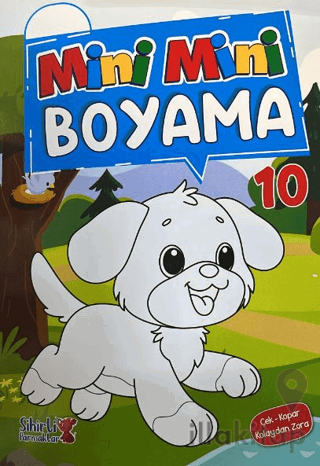 Mini Mini Boyama Çek-Kopar Kolaydan Zora 10