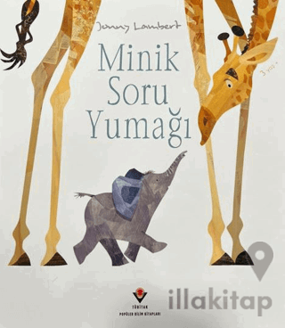 Minik Soru Yumağı