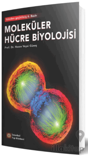 Moleküler Hücre Biyolojisi