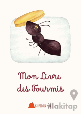 Mon Livre Des Fourmis