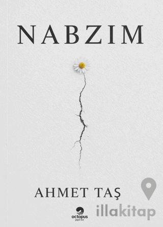 Nabzım