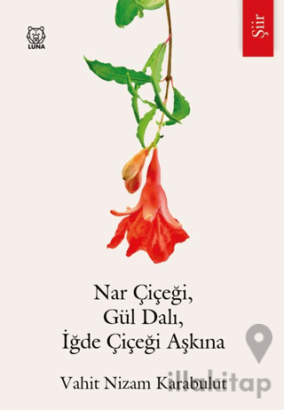 Nar Çiçeği, Gül Dalı, İğde Çiçeği Aşkına