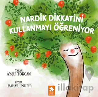 Nardik Dikkatini Kullanmayı Öğreniyor