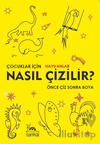 Nasıl Çizilir?