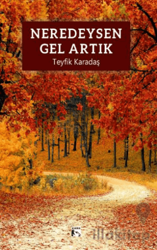 Neredeysen Gel Artık