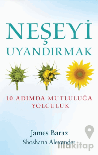 Neşeyi Uyandırmak