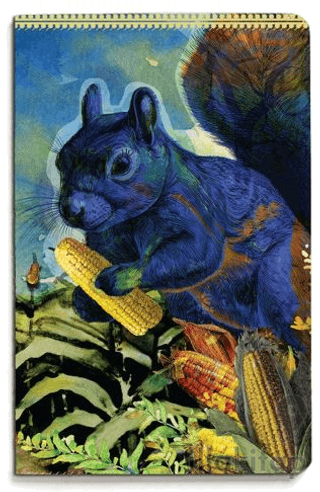 Nesin Defter - Mısır