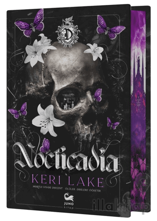Nocticadia