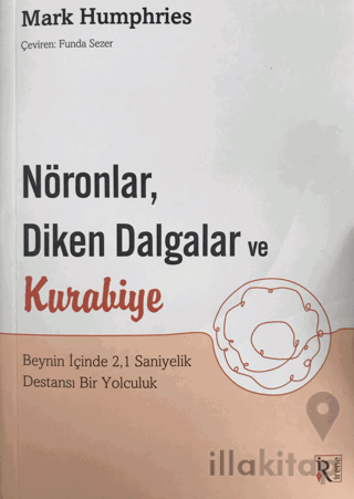 Nöronlar, Diken Dalgalar ve Kurabiye