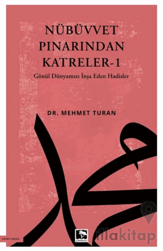 Nübüvvet Pınarından Katreler - 1