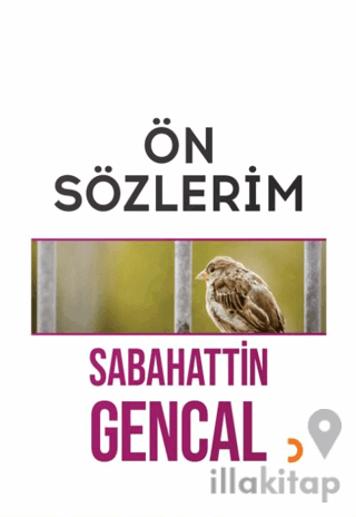 Ön Sözlerim