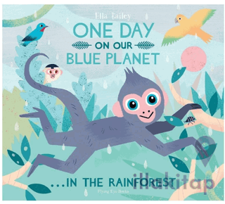 One Day On Our Blue Planet In The Rainforest