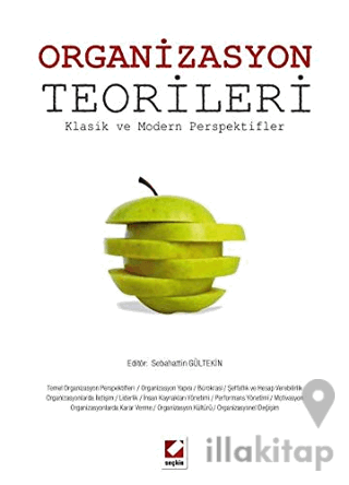 Organizasyon Teorileri